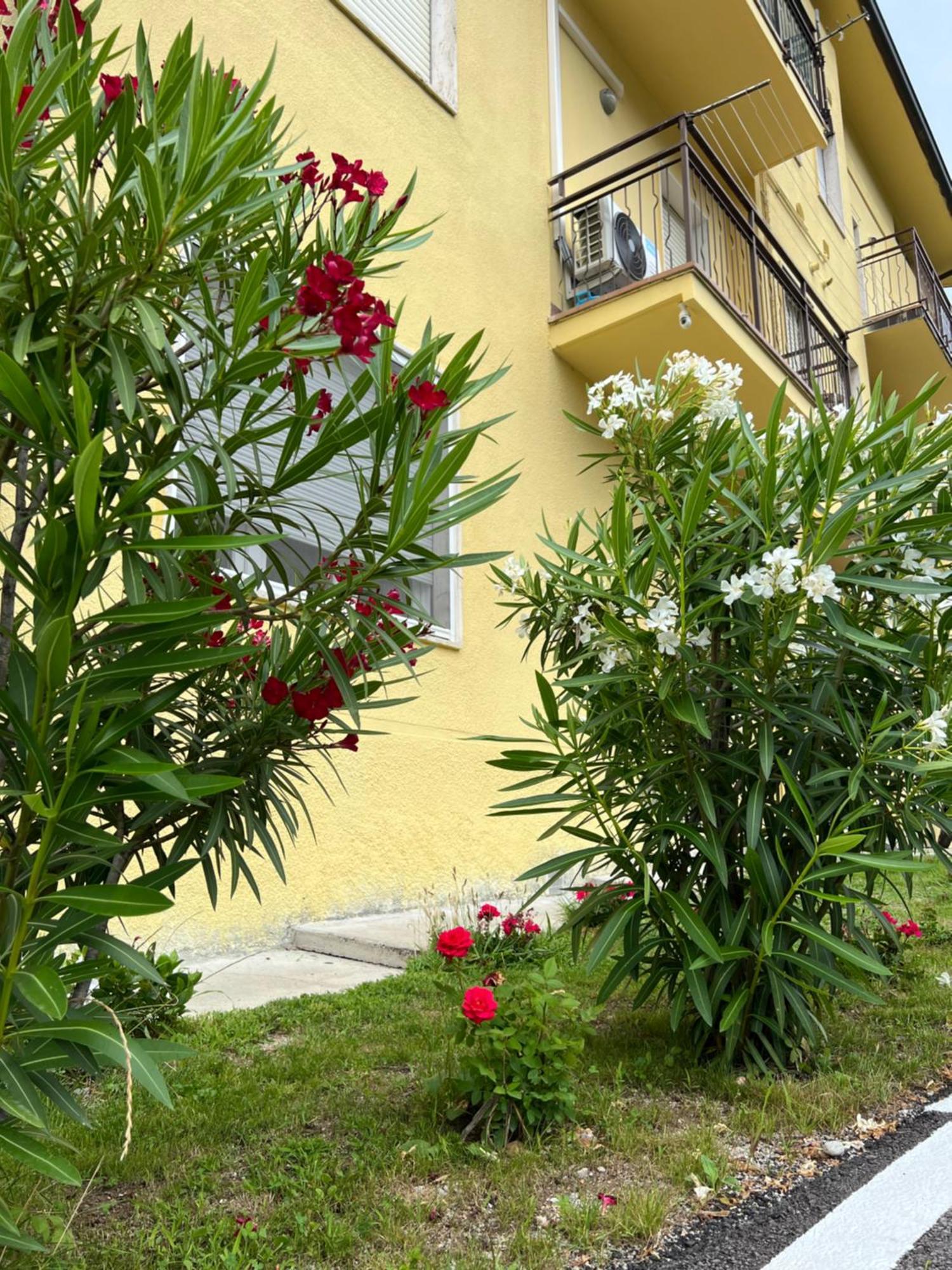 فيلا Casa R&E Valbrona المظهر الخارجي الصورة